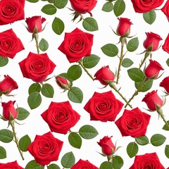 red roses isolated on white background