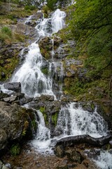 Cascading waterfall in a lush forest.