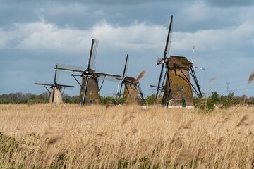 Fototapeta premium Traditional Dutch Windmills in Kinderdijk.