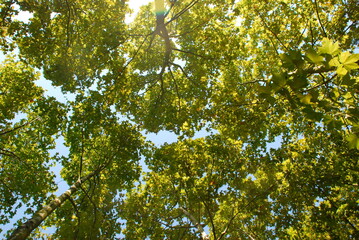 Obraz premium Otoño
