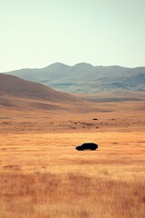 A solitary vehicle in a vast, golden landscape under a clear sky.