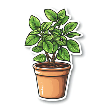 Fototapeta A vibrant potted plant with lush green leaves, showcasing lively and fresh appearance. This illustration captures essence of nature, perfect for home decor or gardening themes