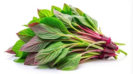 Extreme close-up of fresh green amaranth leaves isolated on white background