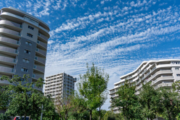 Obraz premium 高層マンション