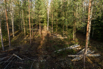 Fototapete bei efototapeten.de bestellen   