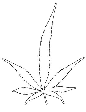 Feuille de cannabis 
