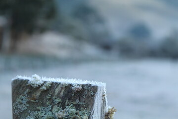geada em Maria da Fé, a cidade mais fria de Minas Gerais 