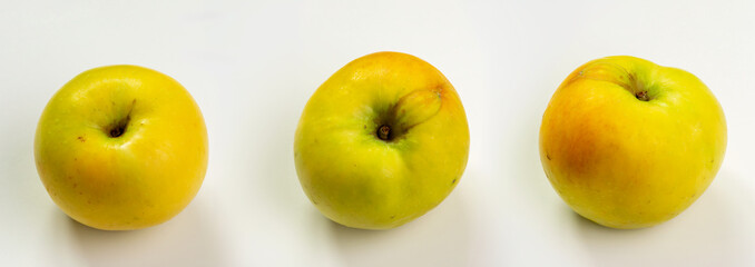 Set of three apples, Berzhenitsky Ananas variety on a white background. It is an old Lithuanian endangered variety, covered by a conservation program.