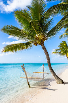 Paysage paradisiaque , hamac et cocotier sur plage de r&ecirc;ve 