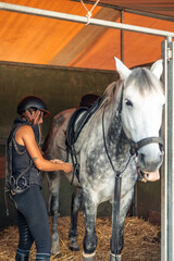 vertical Young female rider with helmet adjusts stirrups on her horse to start training