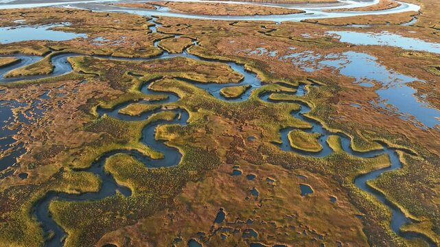Winding waterways in a salt marsh at sunrise in cape cod, massachusetts, aerial view