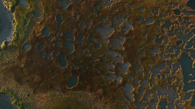 A salt marsh with ponds and vegetation at sunrise on cape cod, massachusetts, aerial view