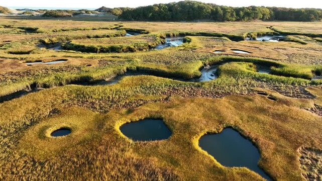 A cape cod salt marsh at sunrise with vibrant green and golden grasslands , aerial view