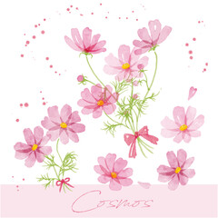 コスモスの手書き水彩画イラスト4  © 奈緒美 岡村