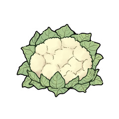 葉っぱのついたカリフラワー