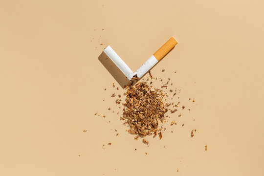 Broken cigarette with scattered tobacco on beige background. Smoking cessation and quitting concept. World no tobacco day.