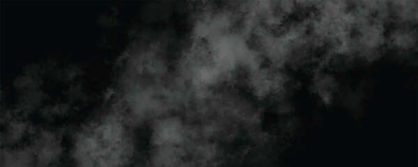 Dark overcast cloud with ethereal gray mist and fog, creating a soft and moody texture for atmospheric backgrounds.

