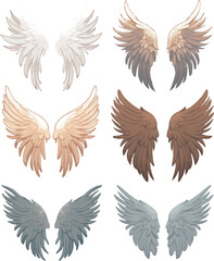 Obraz premium set of wings