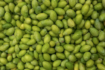  Green olives harvested