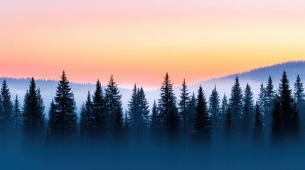 Serene Dawn Over Pine Grove with Sunlight Rays