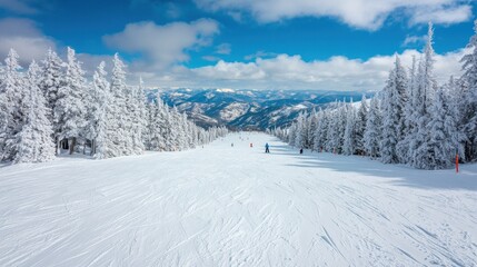Obraz premium Skiers and Snowboarders on Fresh Powdered Slope