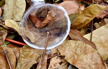 Plastic glass cup and straw trash litter on horizontal pile of brown dry leaves background.