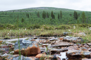 A low-angle shot of a rocky ground and Kiilopää fell in the distance in Urho Kekkonen National Park, Northern Finland