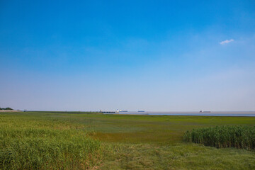 Obraz premium Hengsha Island, Shanghai - Seaside scenery against a blue sky
