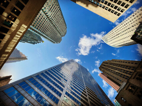 Urban Serenity: A Ground-Level View of Toronto&rsquo;s Sky