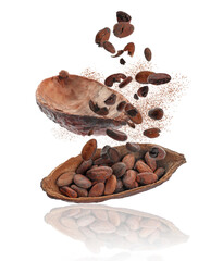 Cocoa pod with beans and powder in air on white background