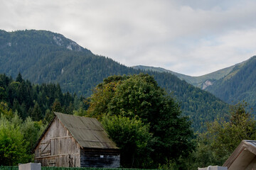 Obraz premium wooden house