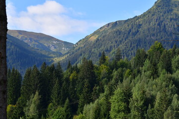yosemite valley state