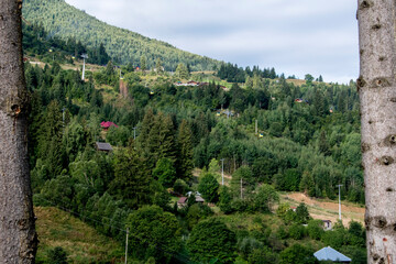 landscape with forest