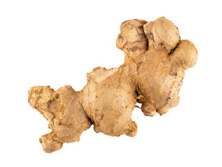 ginger root isolated on a transparent background