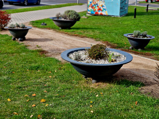 gray flower bowl is a flat profile flowerpot with flowering perennials in a square or on a street in a park. road barrier from steel, concrete, sage