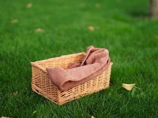 Empty Wicker Basket on green grass. Copy space for text	
