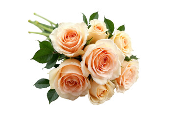 Obraz premium bouquet of roses isolated