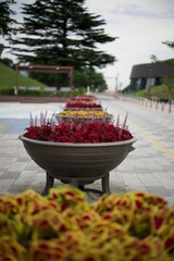 Vase filled with flowers displayed outdoors in a traditional Asian setting, at the daytime