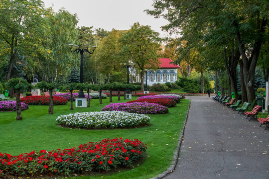 garden with flowers,  Copou Park, Vaslui City, Romania 