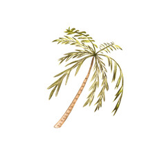 Watercolor sheet. Hand draw watercolor illustrations on white background. Sheet clipart for banners,cards © oksana