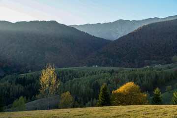 autumn in the mountains, Pestera Village, Brasov, Romania 