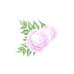 Fototapeta premium Flower watercolor. Hand draw watercolor illustrations on white background. Flower watercolor for design