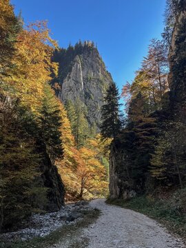 autumn in the mountains,  Prapastiile Zarnestilor Gorges, Piatra Craiului Mountains, Romania 