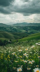 Fototapeta premium Serene Rolling Green Hills Under Dramatic Clouds