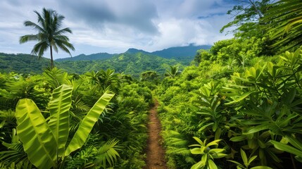 Fototapeta premium Lush green pathway through a vibrant tropical forest, leading to serene mountains under a picturesque cloudy sky.
