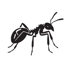 Ant silhouette Illustrator black and white