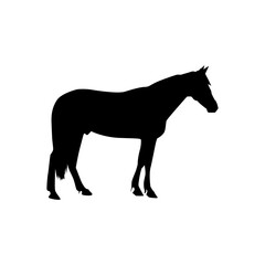 HORSE ANIMAL SILHOUETTE VECTOR DESIGN 1