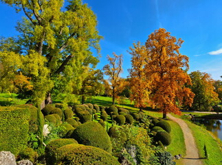 Colorful trees in castle garden Esterhazy,Eisenstadt,Burgenland,Austria,Europe
