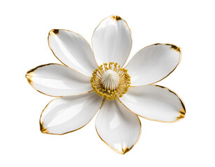 white flower isolated on transparent background