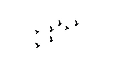 Flying birds silhouettes And Vector illustration.

